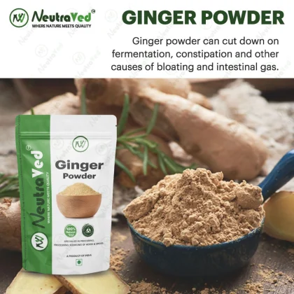 Ginger Powder image 2